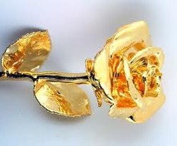 akcios%20csomagok/golden.jpg akcios%20csomagok/golden.jpg