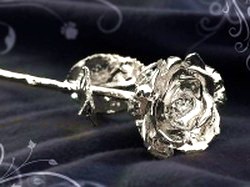 akcios%20csomagok/silver.jpg akcios%20csomagok/silver.jpg